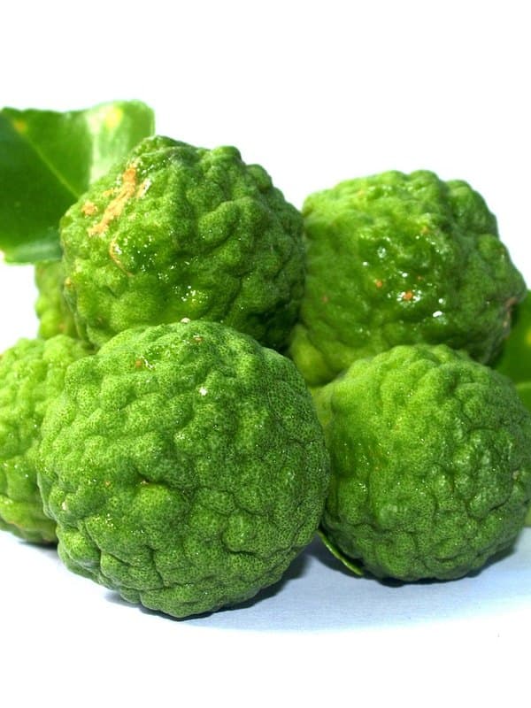 Bergamot