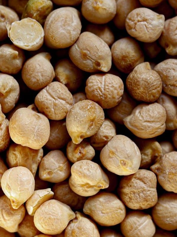 Chickpea