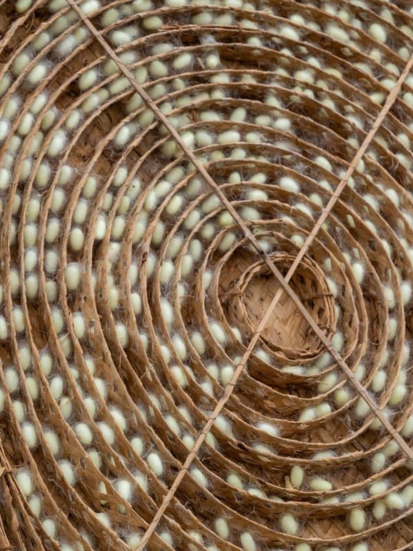 Silk Protein
