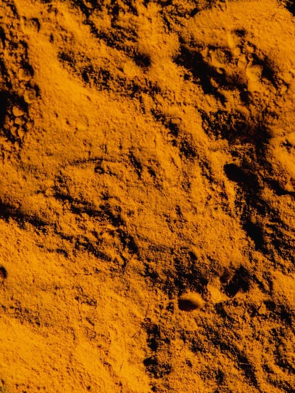Turmeric