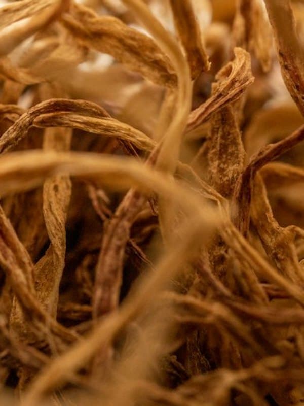 Vetiver