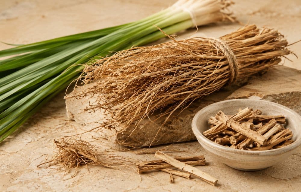 Vetiver (Khus): India's Original Cooling Note