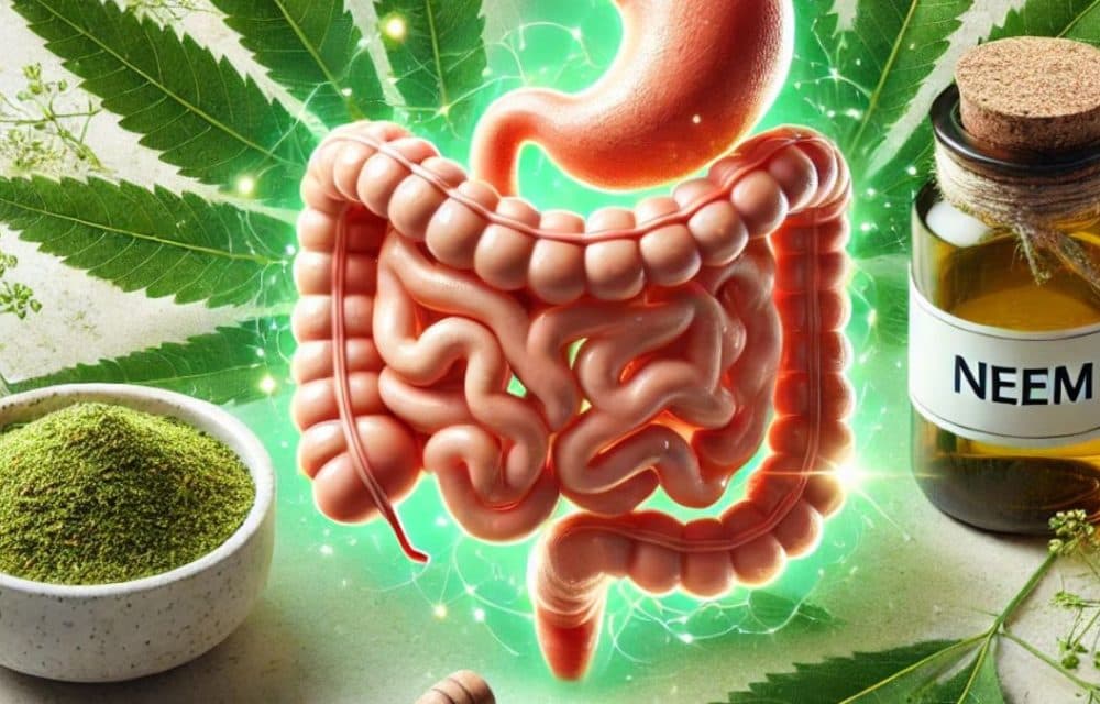 How natural ingredients like neem improve gut health?