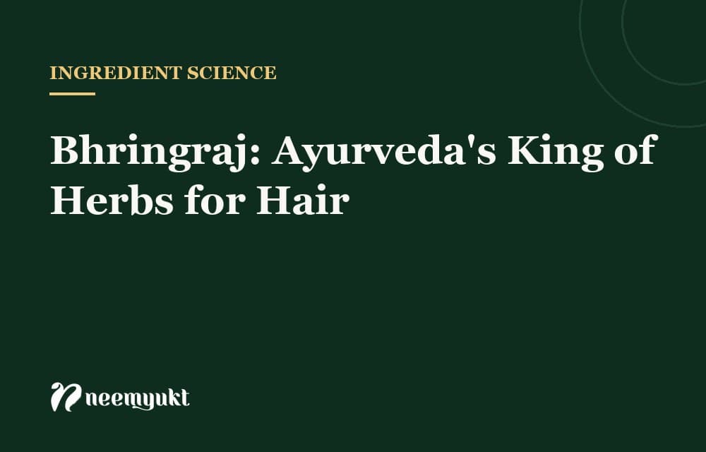 Bhringraj: Ayurveda's King of Herbs for Hair