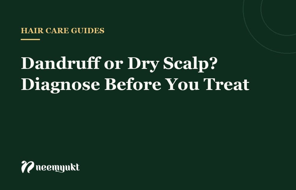 Dandruff or Dry Scalp? Diagnose Before You Treat