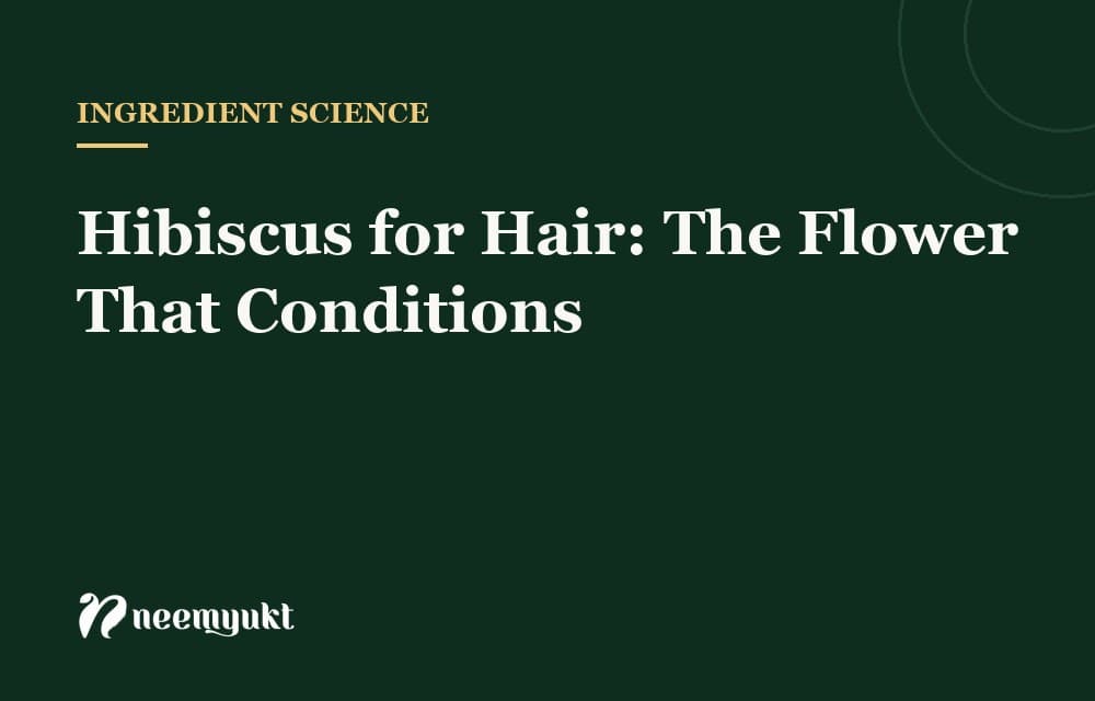 Hibiscus for Hair: The Flower That Conditions