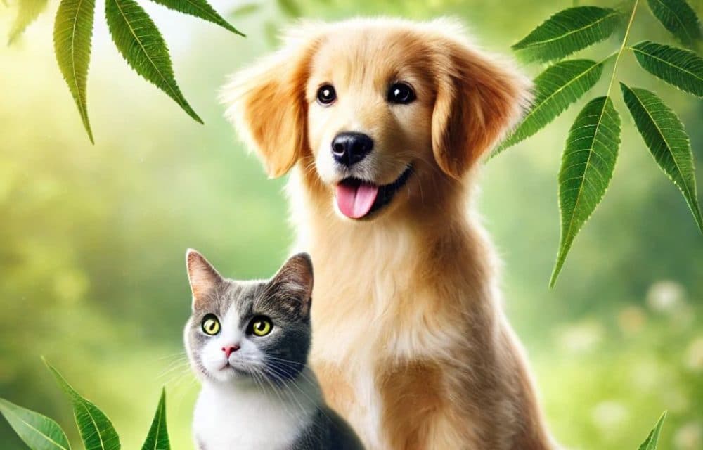 Neem oil for pets: Natural solutions for flea and tick control