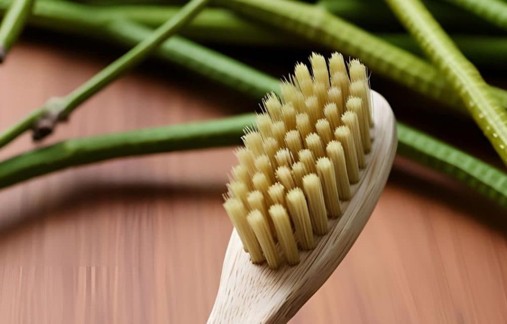 ​The comprehensive benefits of using neem wood for brushing teeth​