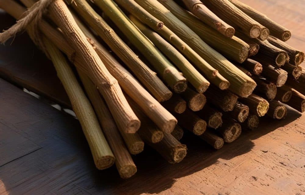 Does Neem really taste bitter? Exploring the bitterness of Neem and its dental benefits​