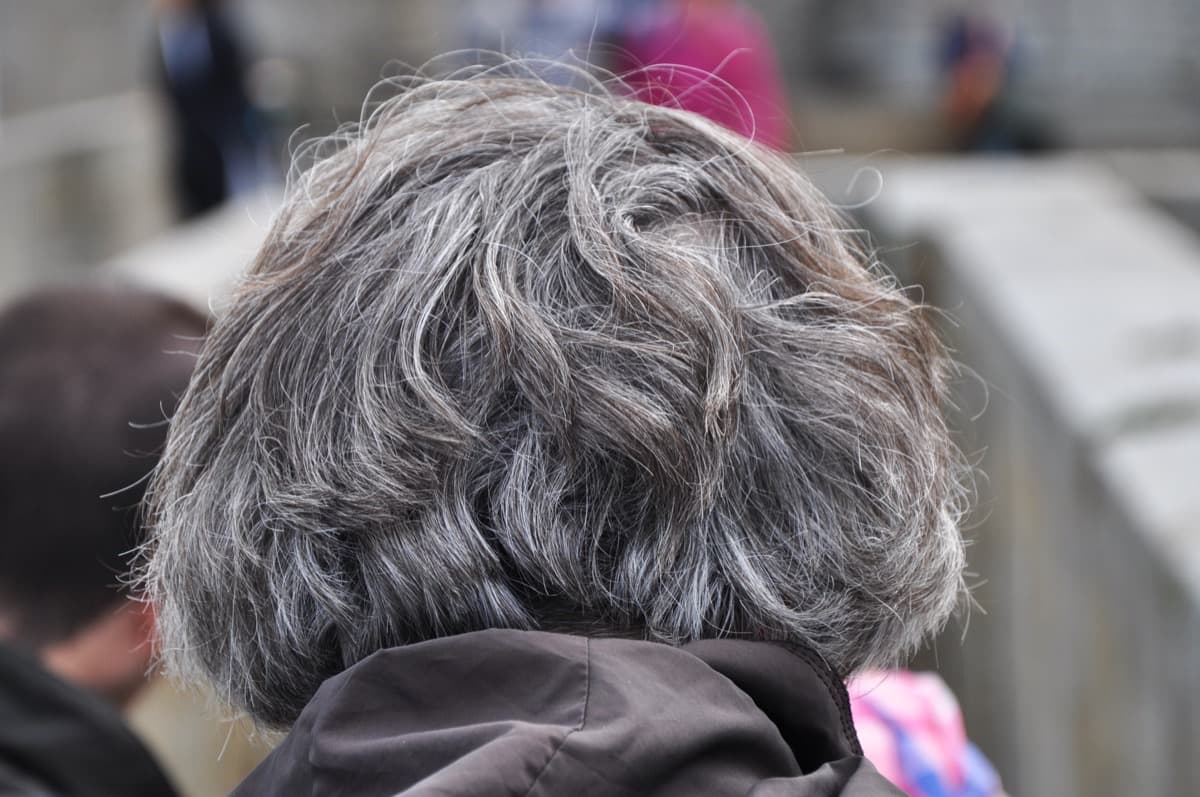 Premature greying: why hair loses colour early and what genuinely helps